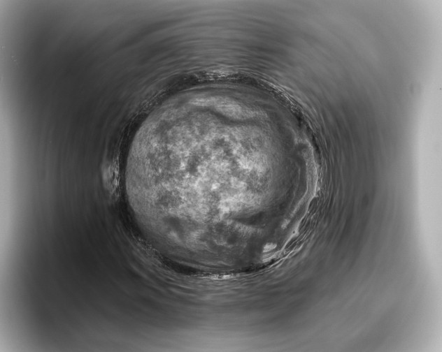 X0000096951011200802221318