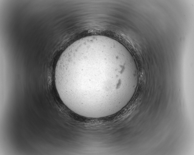 X0000096951012200802221318