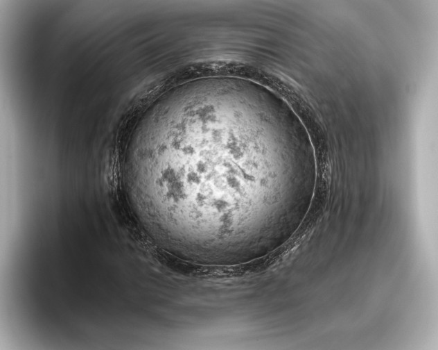 X0000096951014200802221318