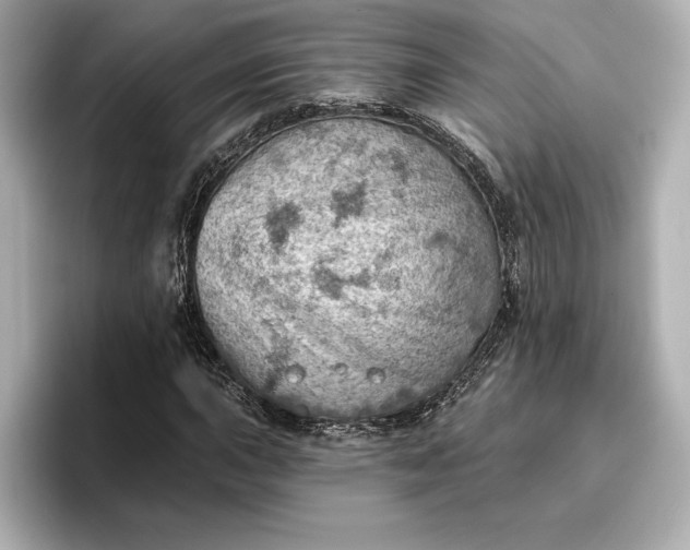 X0000096951015200802221318