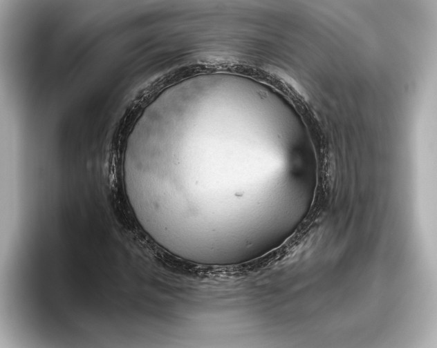 X0000096951016200802221318