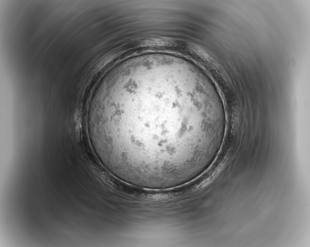 X0000096951017200802221318