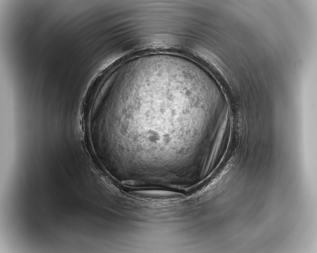 X0000096951018200802221318
