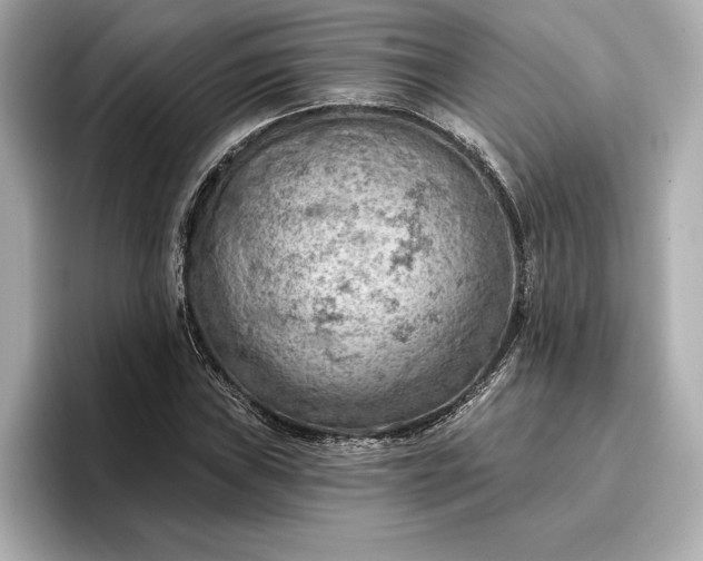 X0000096951019200802221318