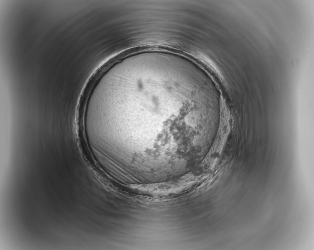 X0000096951020200802221318