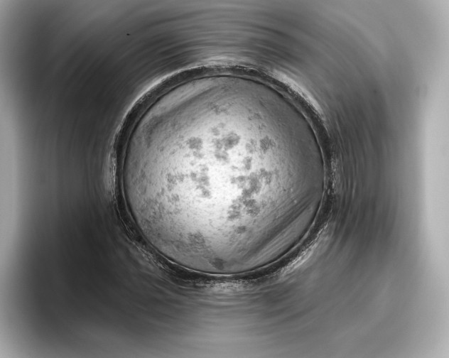 X0000096951021200802221318