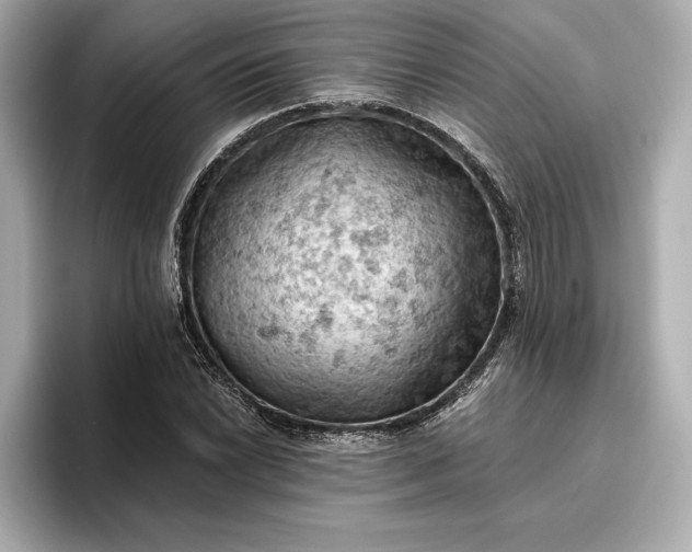 X0000096951022200802221318