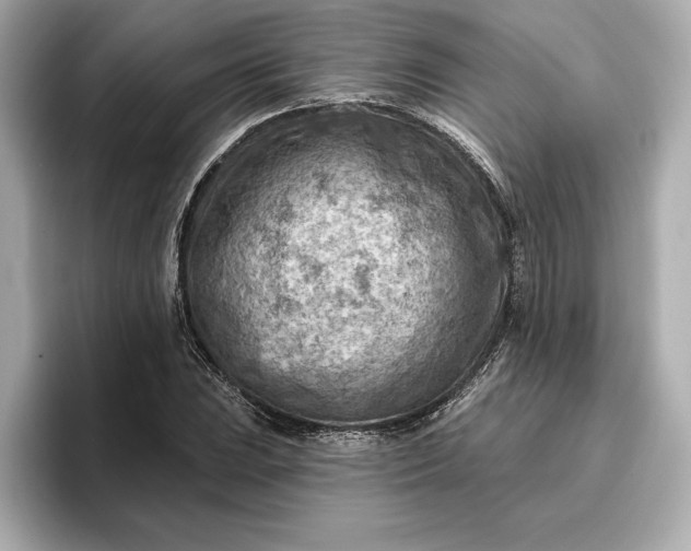 X0000096951023200802221318