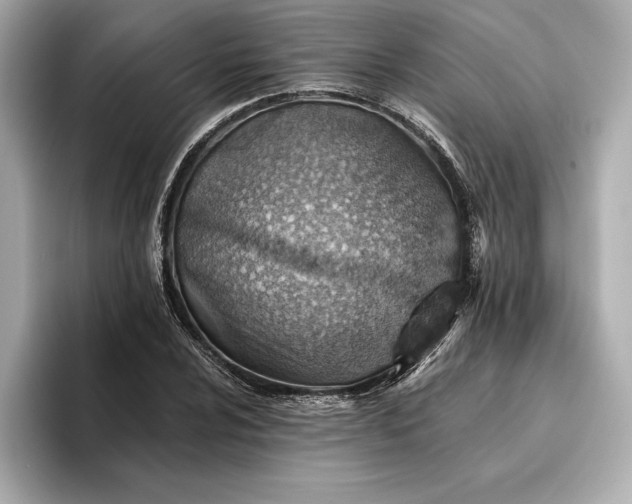 X0000096951024200802221318