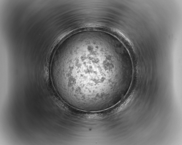 X0000096951025200802221318