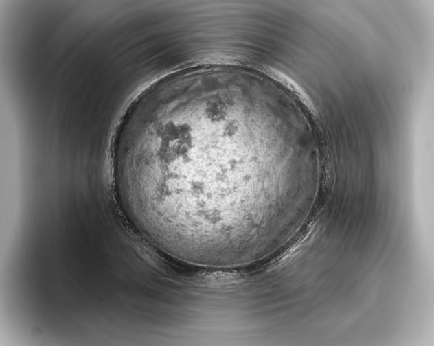 X0000096951027200802221318