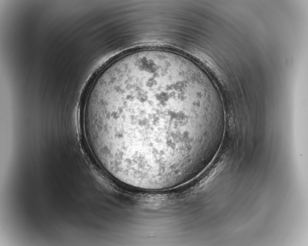 X0000096951030200802221318