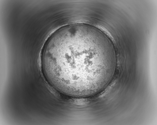 X0000096951031200802221318