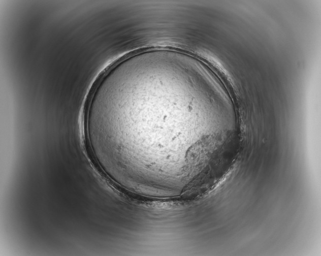 X0000096951032200802221318