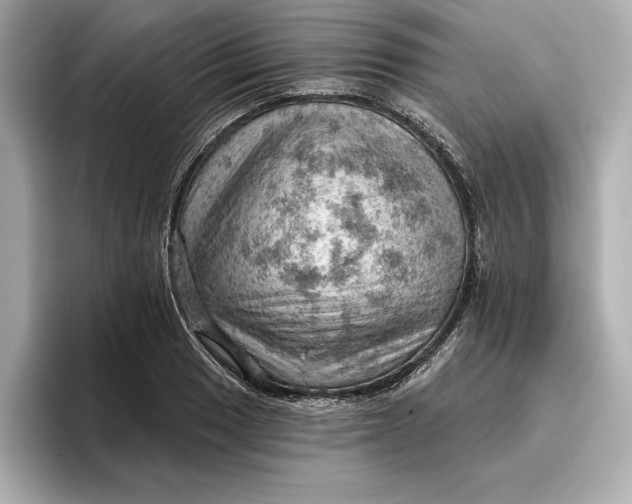 X0000096951033200802221318