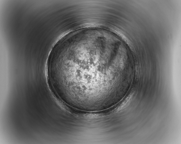 X0000096951034200802221318