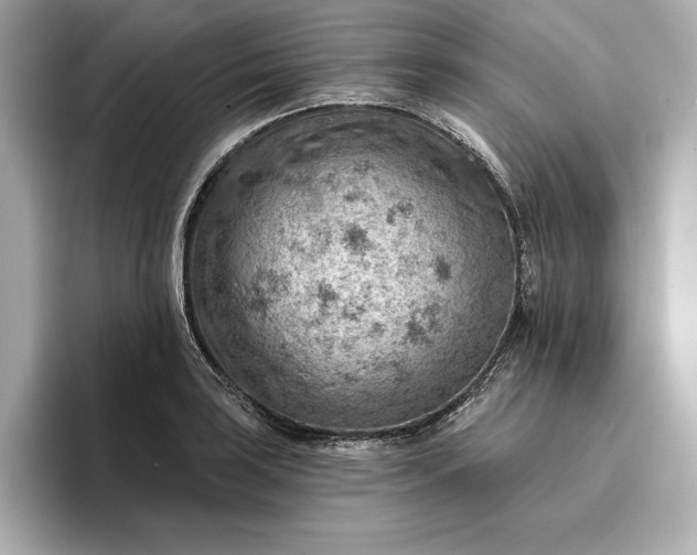 X0000096951035200802221318