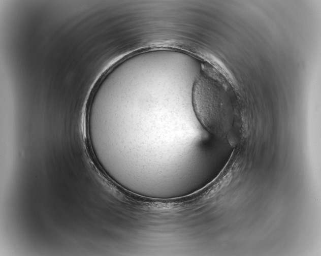 X0000096951036200802221318