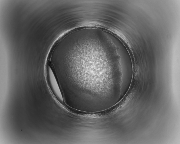 X0000096951037200802221318