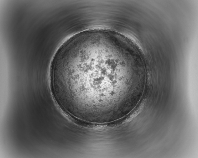 X0000096951038200802221318