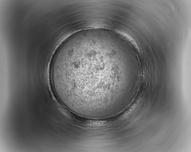 X0000096951039200802221318