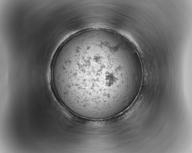 X0000096951040200802221318