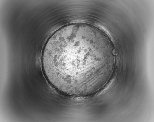 X0000096951041200802221318