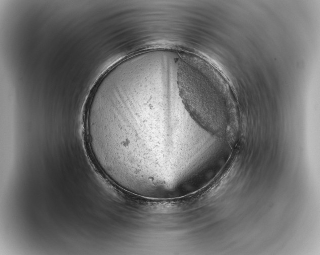 X0000096951042200802221318