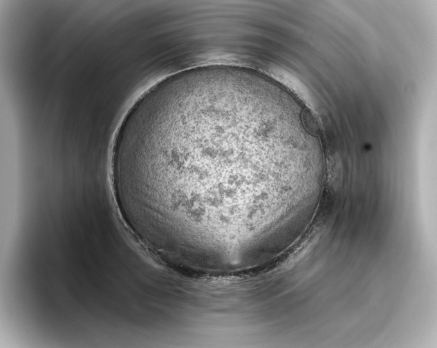 X0000096951043200802221318