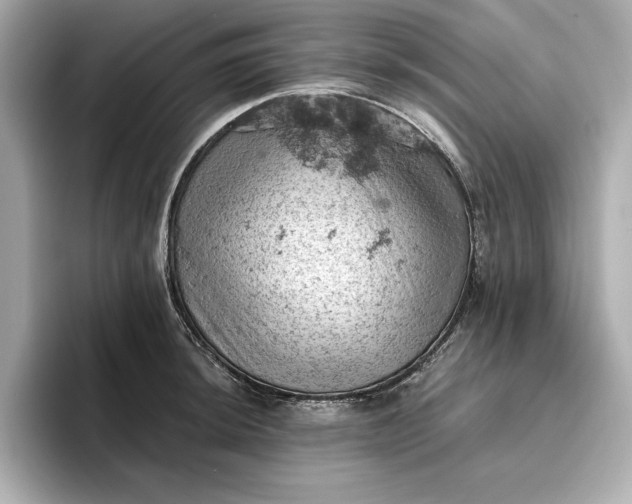 X0000096951044200802221318