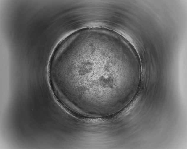X0000096951045200802221318