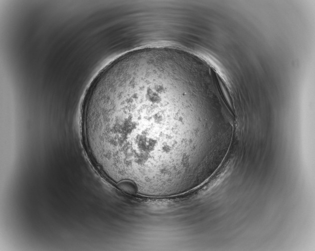 X0000096951046200802221318