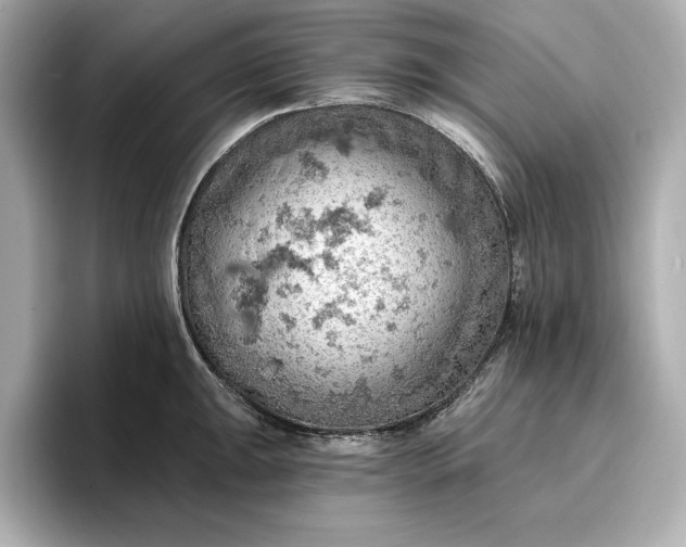 X0000096951047200802221318