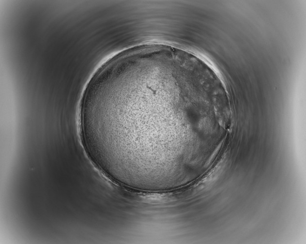 X0000096951048200802221318