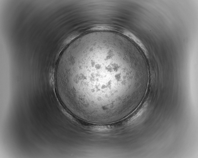 X0000096951049200802221318