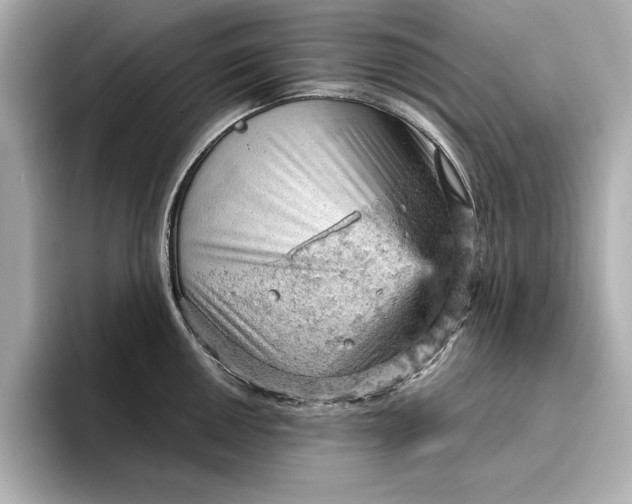 X0000096951050200802221318