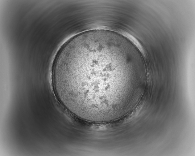 X0000096951051200802221318
