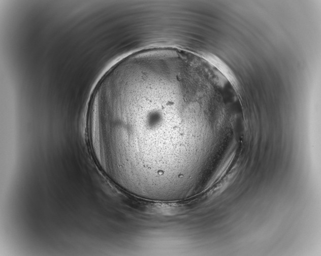 X0000096951052200802221318