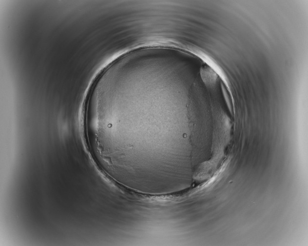 X0000096951053200802221318