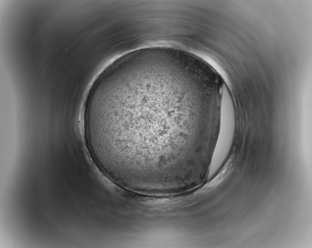 X0000096951054200802221318