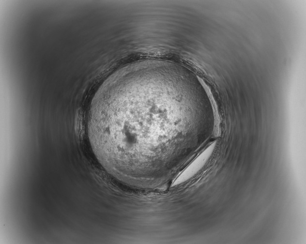 X0000096951058200802221318