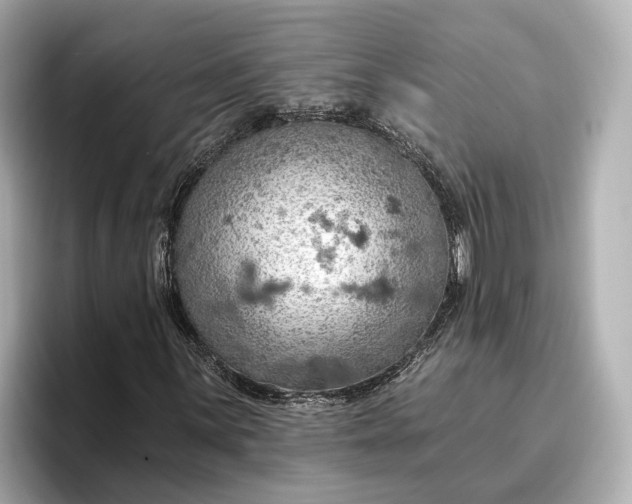 X0000096951059200802221318