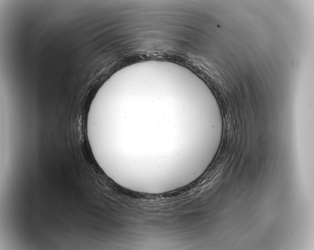 X0000096951060200802221318