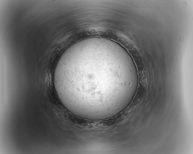 X0000096951061200802221317