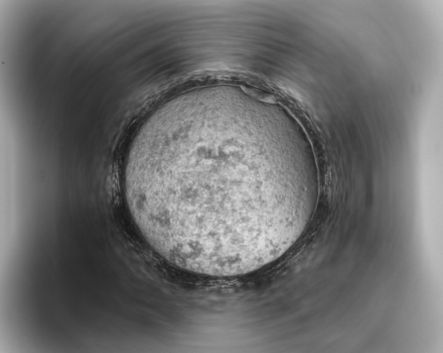 X0000096951062200802221317
