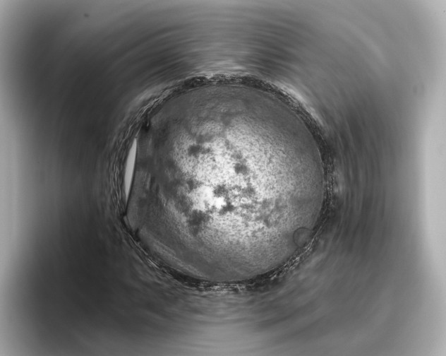 X0000096951063200802221317