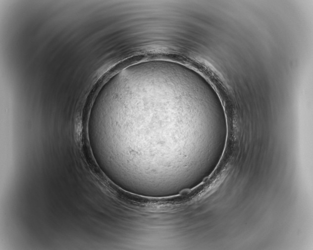 X0000096951065200802221317