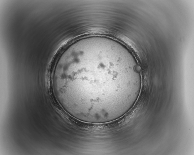 X0000096951067200802221317