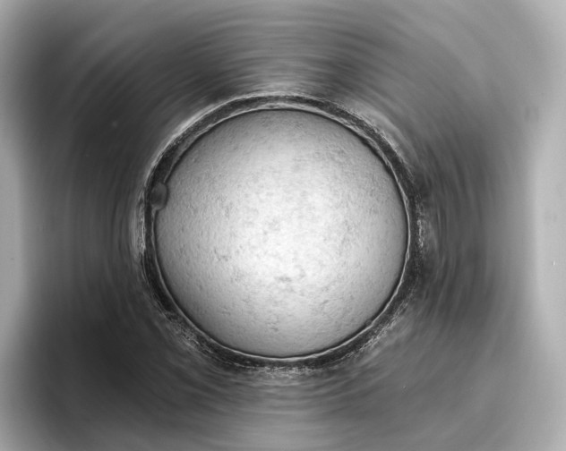 X0000096951069200802221317