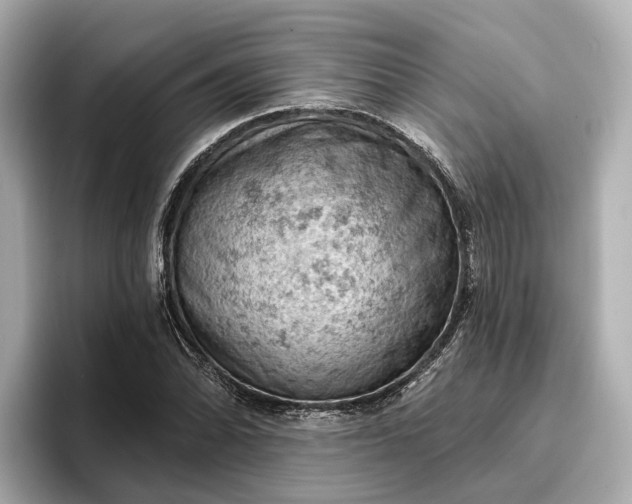 X0000096951070200802221317